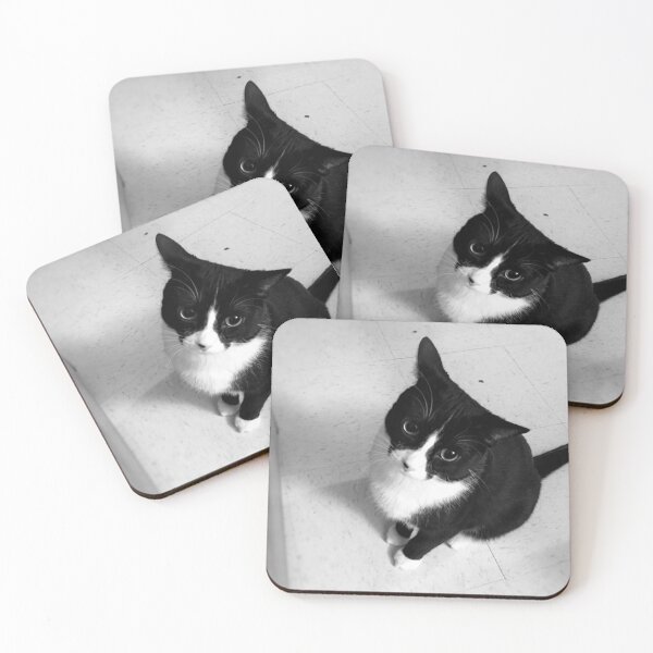Item preview, Cyrus the Cat designed and sold by iblushay.