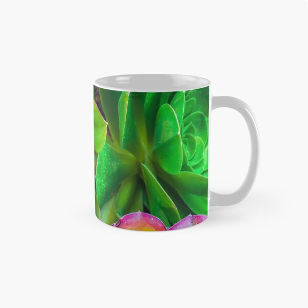 Item preview, closeup green and pink succulent plant garden designed and sold by Mrvell.