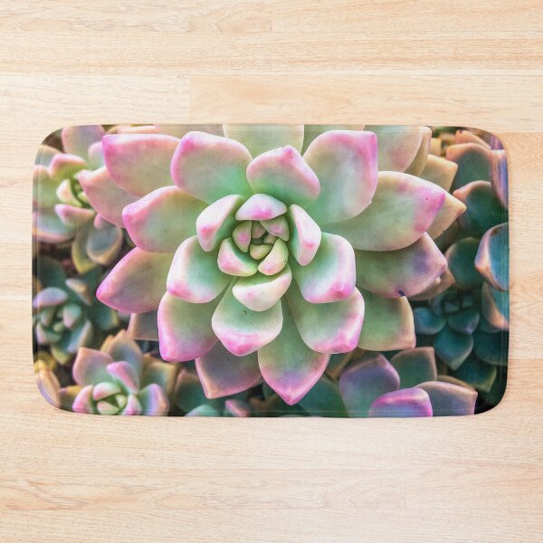 Item preview, closeup green and pink succulent plant background designed and sold by Mrvell.