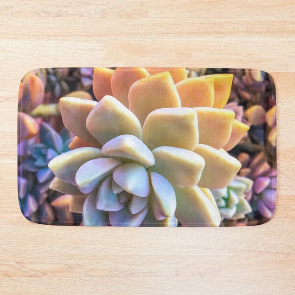 Item preview, closeup green and pink succulent plant designed and sold by Mrvell.