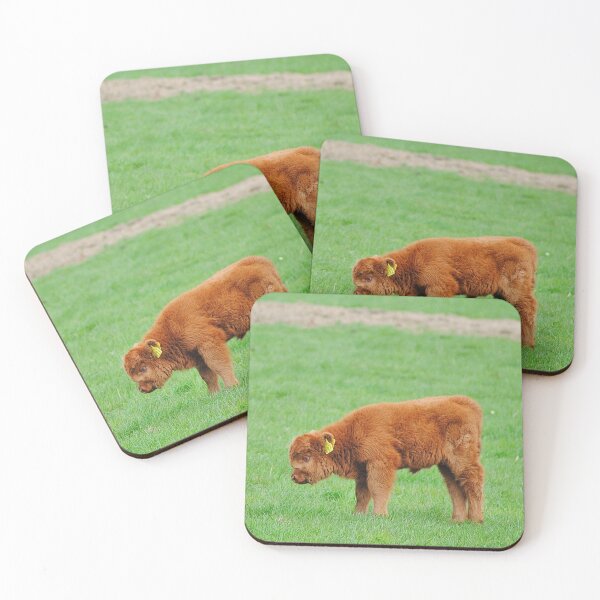 Item preview, Scottish highland cattle - calves designed and sold by Glineur.