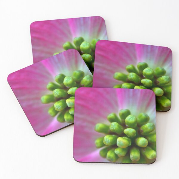 Item preview, Dogwood Macro designed and sold by Leon Heyns.
