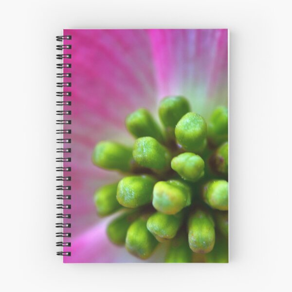 Item preview, Dogwood Macro designed and sold by Leon Heyns.