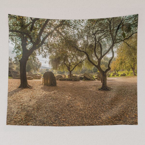 Item preview, Archaeological Site of Olympia 1010 designed and sold by KensLensDesigns.