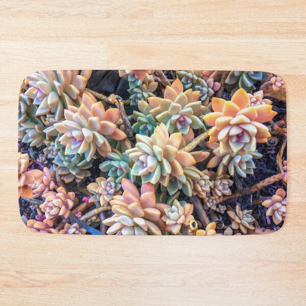 Item preview, closeup green and pink succulent plant garden background designed and sold by Mrvell.