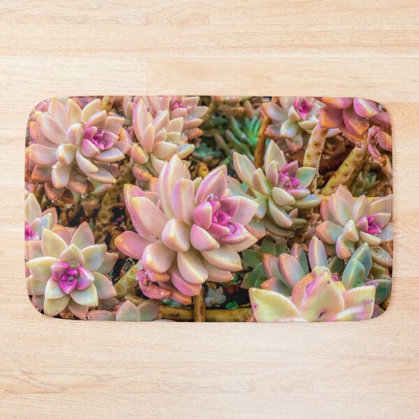 Item preview, closeup pink and green succulent plant garden designed and sold by Mrvell.