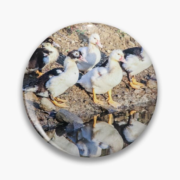 Item preview, ¿Nos reunimos en el estanque? designed and sold by Bill Slader.