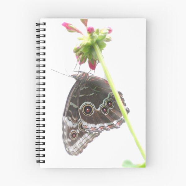 Item preview, Butterfly Hanging from Flower designed and sold by ecall.