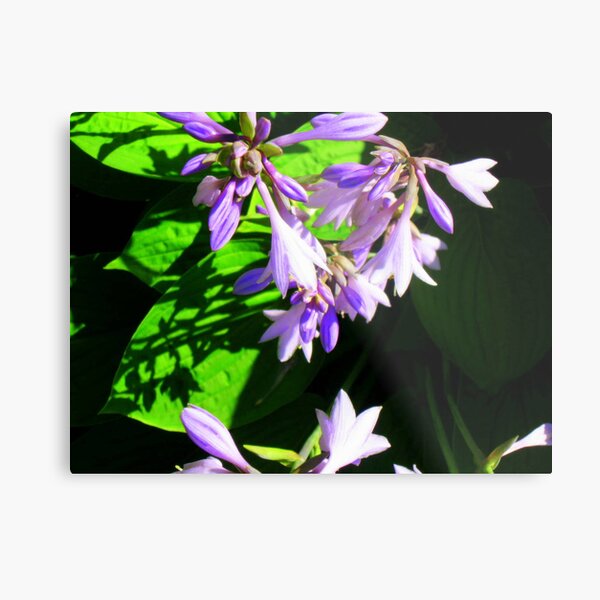 A quiet moment Metal Print