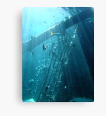 Nature Canvas Print