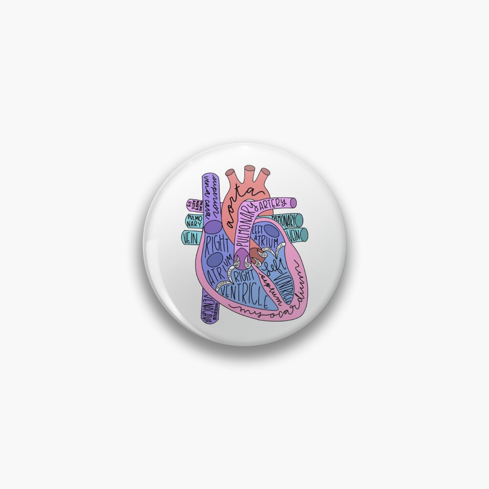 Anatomical Heart Pin