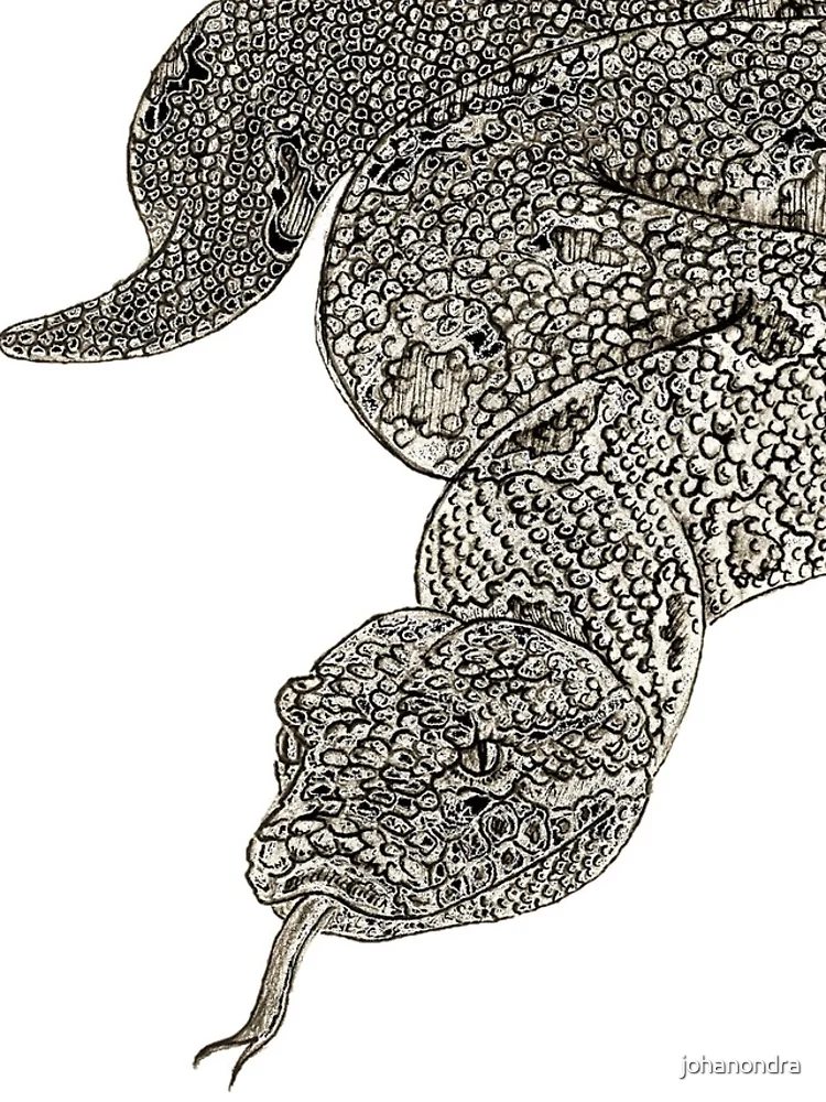 Thumbnail 4 of 4, iPhone Case, Python designed and sold by johanondra.