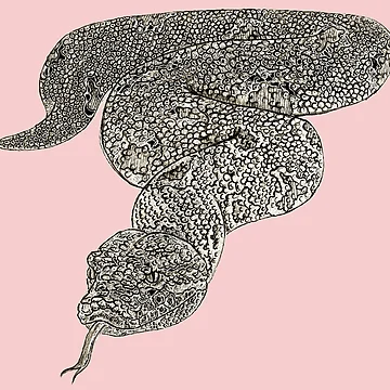 Artwork thumbnail, Python by johanondra