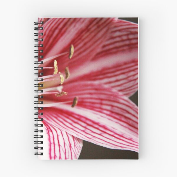 Item preview, striped lily designed and sold by lensbaby.