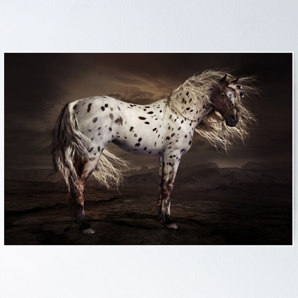 Item preview, Leopard Appaloosa designed and sold by Shanina Conway.