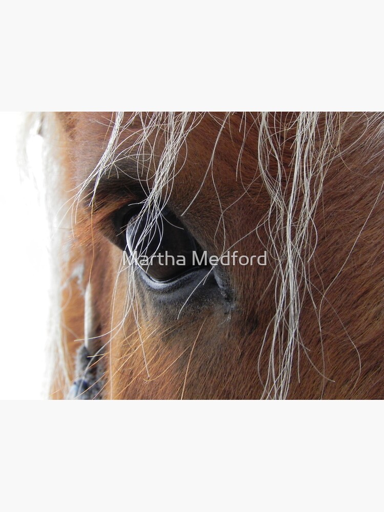 "Hair In My Eye" Sticker for Sale by MarthaMedford Redbubble