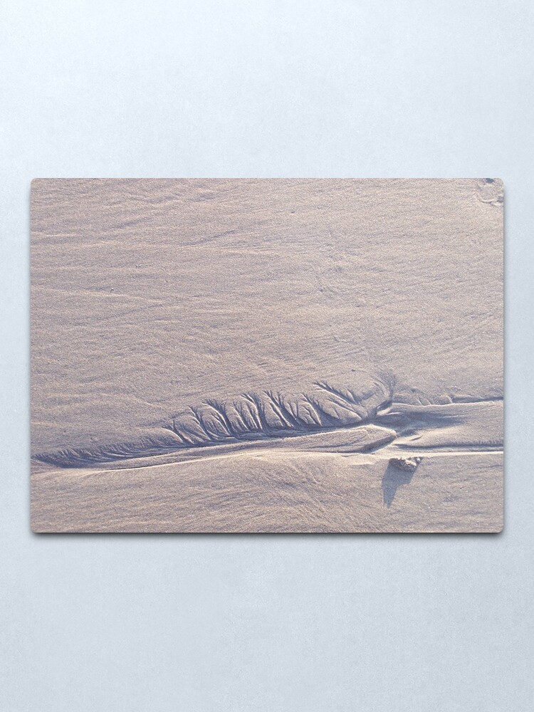 Alternate view of Sand Feather ~ North Hampton Beach, NH Metal Print