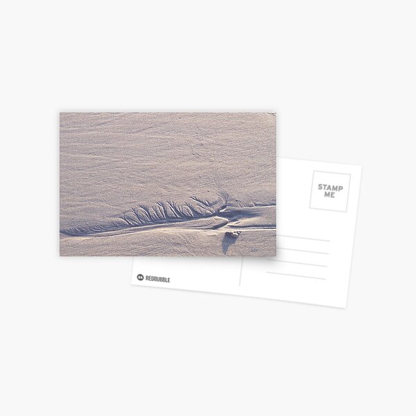 Sand Feather ~ North Hampton Beach, NH Postcard