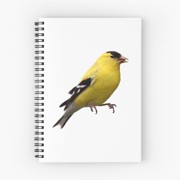 Item preview, yellow finch designed and sold by kayjacu.