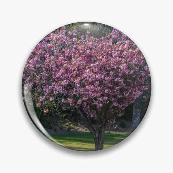 Item preview, Spring Cherry Blossoms designed and sold by georgecolephoto.