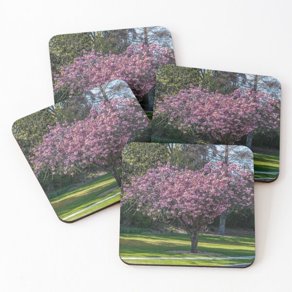 Item preview, Spring Cherry Blossoms designed and sold by georgecolephoto.