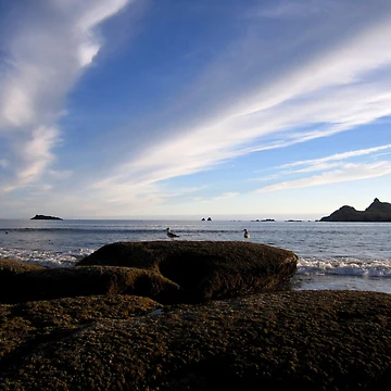 Imagen de la obra Barnacle On The Rocks de MARILYN DIAZ