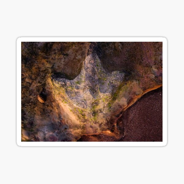 Item preview, Theropod footprint by Kevin Smith designed and sold by RockpoolBroome.