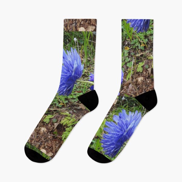 Item preview, Purple Flowers2016(2) designed and sold by Ula Shibazaki.