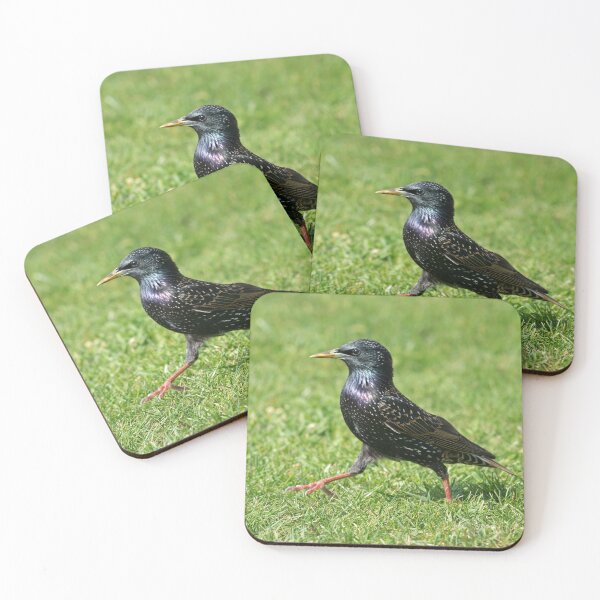 Item preview, Starling Strut designed and sold by Chris Monks.
