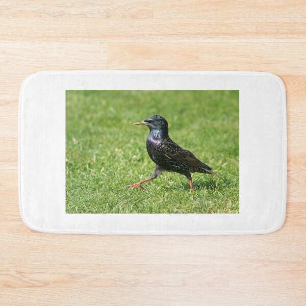 Item preview, Starling Strut designed and sold by Chris Monks.