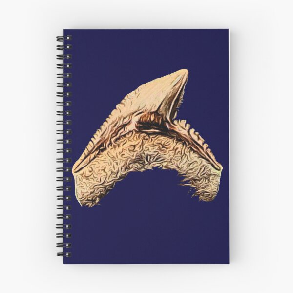 Item preview, Tiger Shark Tooth designed and sold by Noah357.