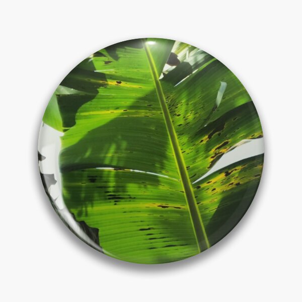 Item preview, Banana tree designed and sold by KesiaHosking.