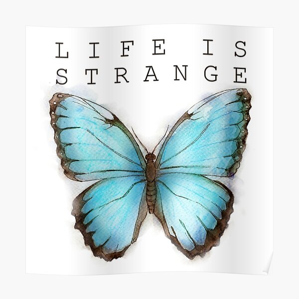 Butterfly Effect Poster