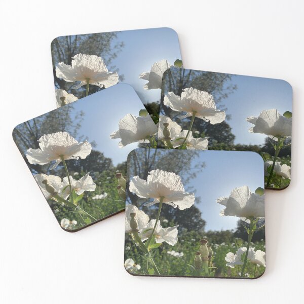 Item preview, Sunny Whites designed and sold by agnessa38.