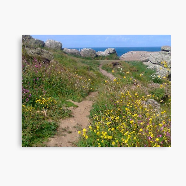 Item preview, Coast path, Land's End. designed and sold by Anne Sanders.