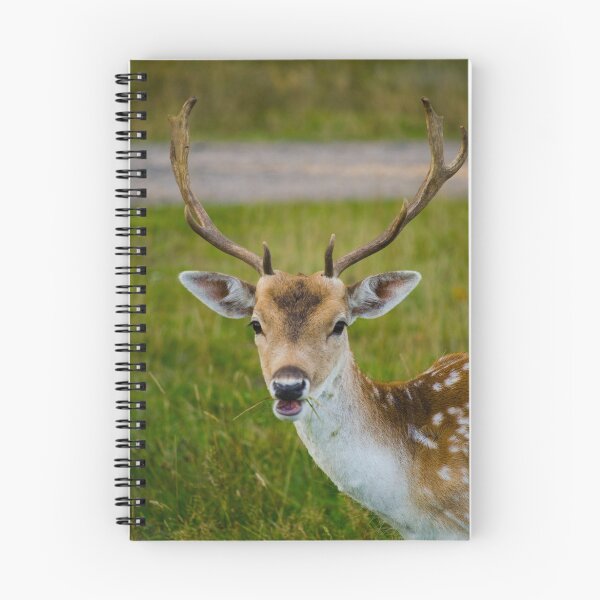 Item preview, Fallow Deer designed and sold by Linsey Williams.