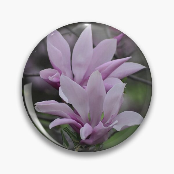 Item preview, Pink Magnolia Bloom designed and sold by ReneeKennedy.