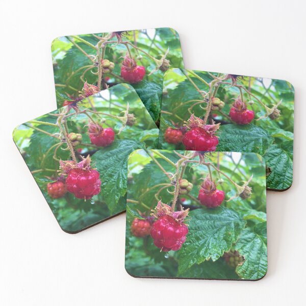 Item preview, raspberries designed and sold by SleepySlippers >0<.