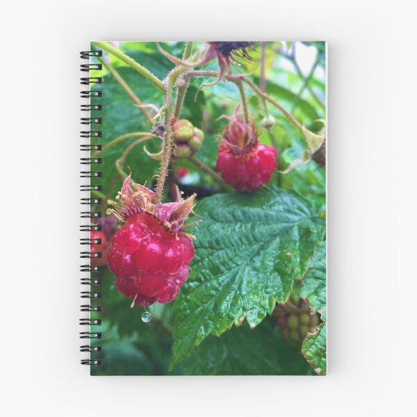 Item preview, raspberries designed and sold by SleepySlippers >0<.