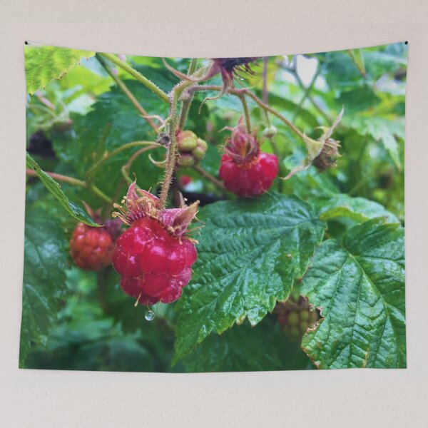 Item preview, raspberries designed and sold by SleepySlippers >0<.