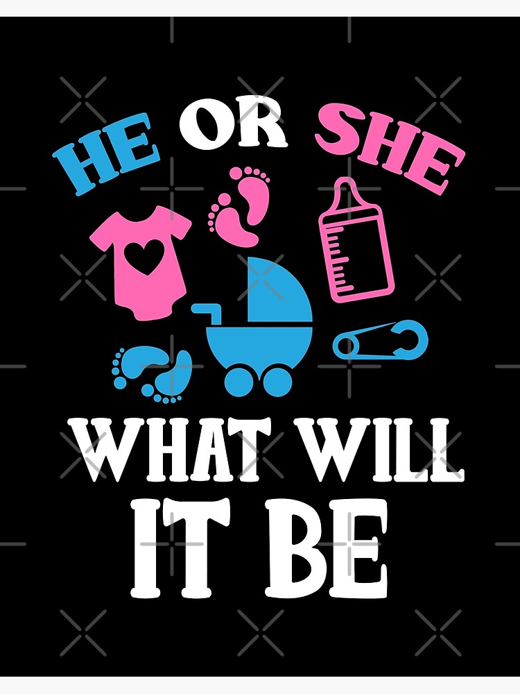 Gender Reveal Shirts, He or She What Will It Be, Pregnancy