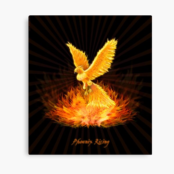 Phoenix Rising Canvas Print By Leahmcneir Redbubble