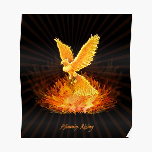 Phoenix Rising Poster