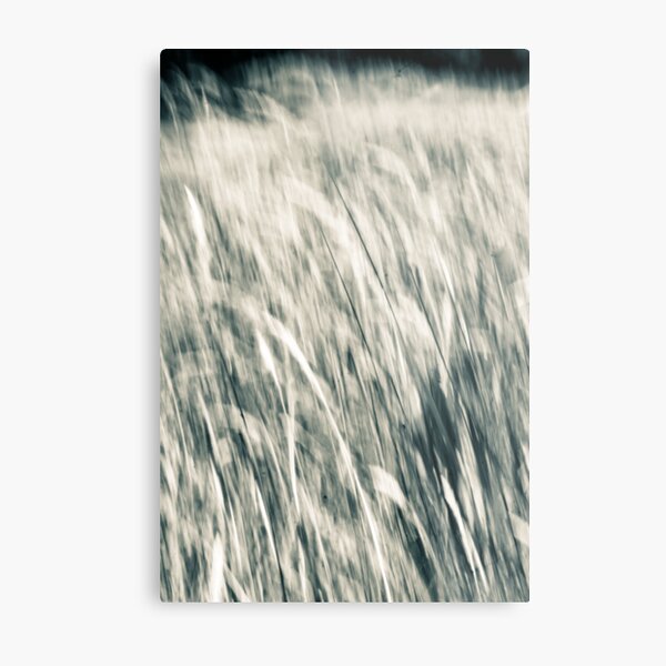 The inner sense of being alone in a crowded place Metal Print