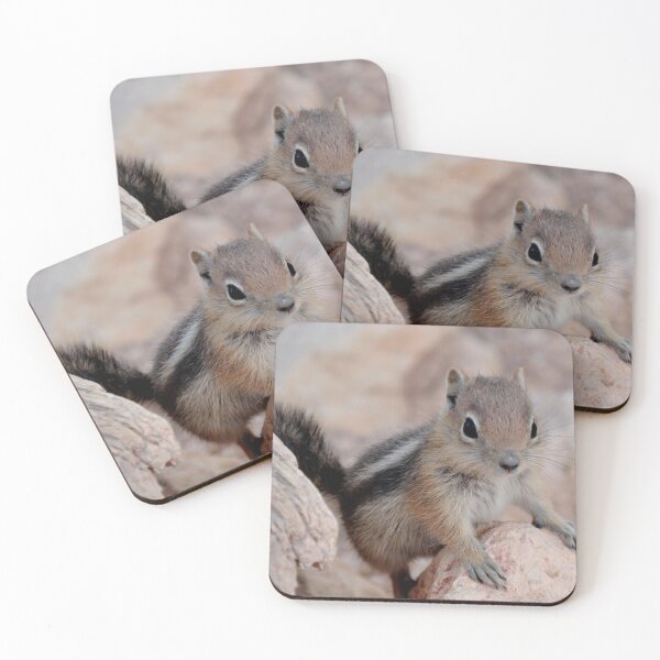 Item preview, Friendly Chipmunk designed and sold by ecall.