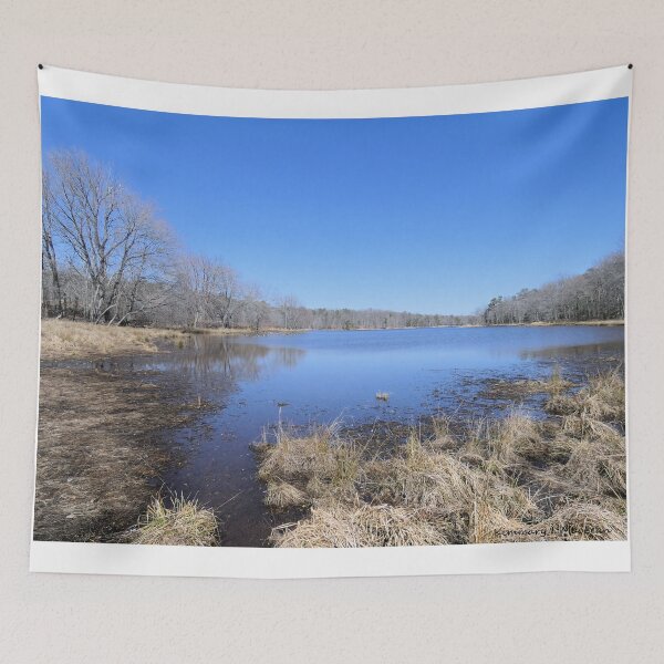 Item preview, Cash Lake in March designed and sold by Kimmary.
