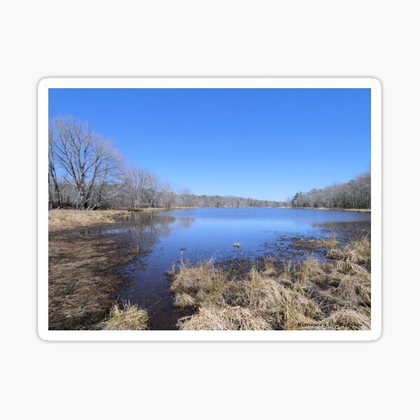 Cash Lake in March Sticker