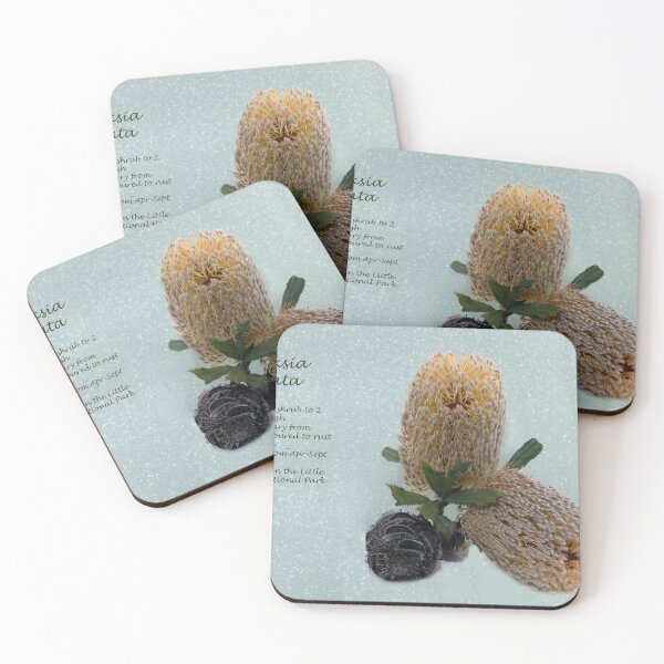 Item preview, 'Australian Banksia' designed and sold by Bevlyn.