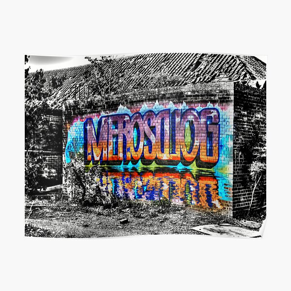 Mero Poster