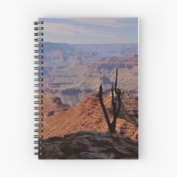 Aperçu de l'œuvre Silhouette d'arbre au Grand Canyon créée et vendue par ecall.